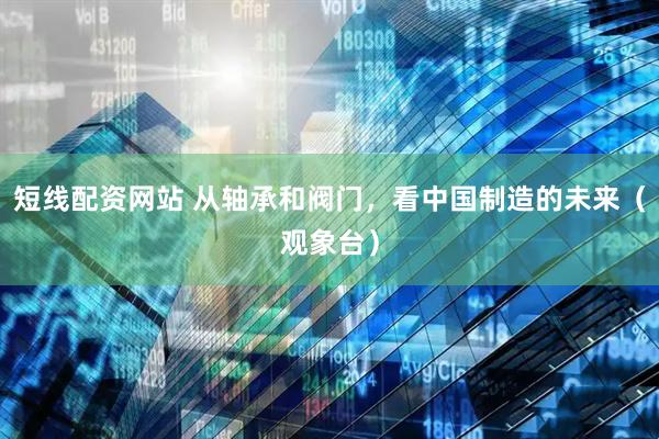 短线配资网站 从轴承和阀门，看中国制造的未来（观象台）