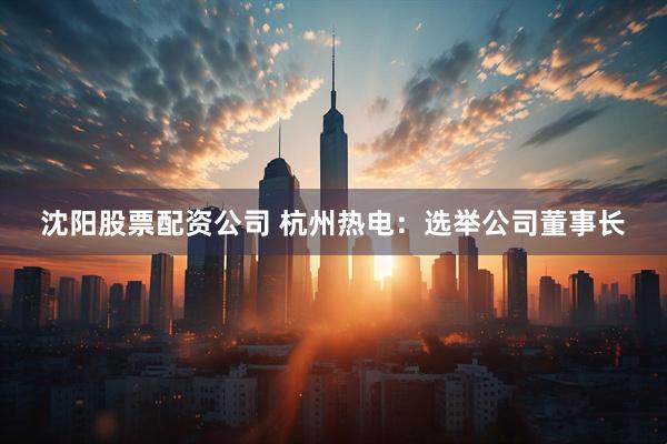 沈阳股票配资公司 杭州热电：选举公司董事长